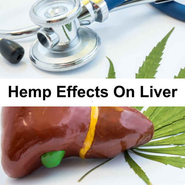 Hemp Effects On Liver