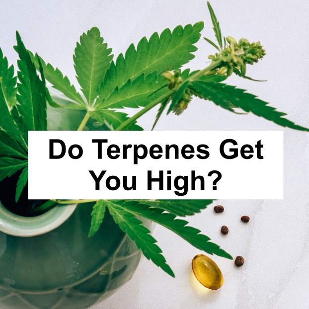 Do Terpenes Get You High?