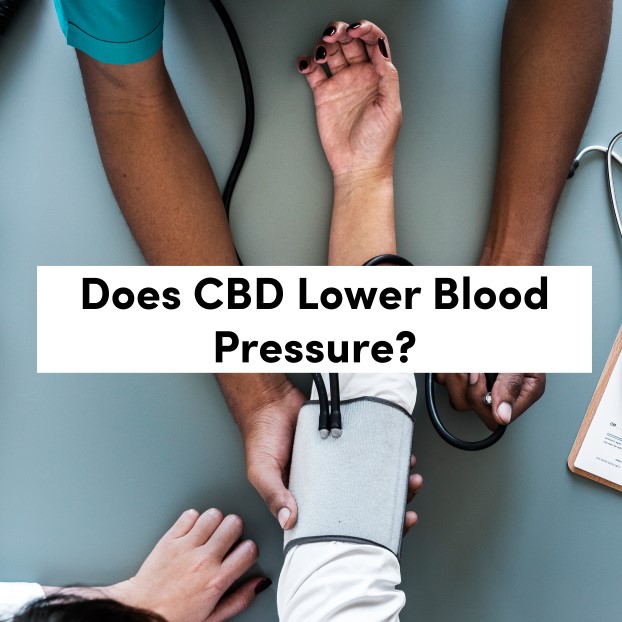 Does CBD Lower Blood Pressure?