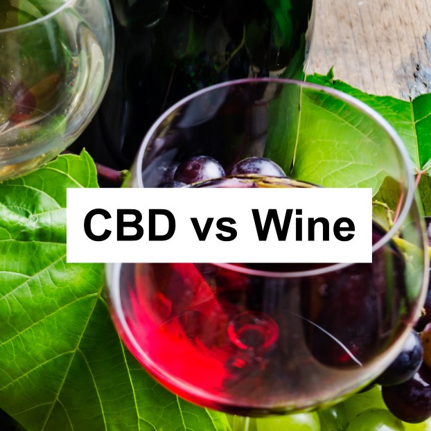 CBD vs Wine