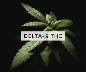 delta-9 thc