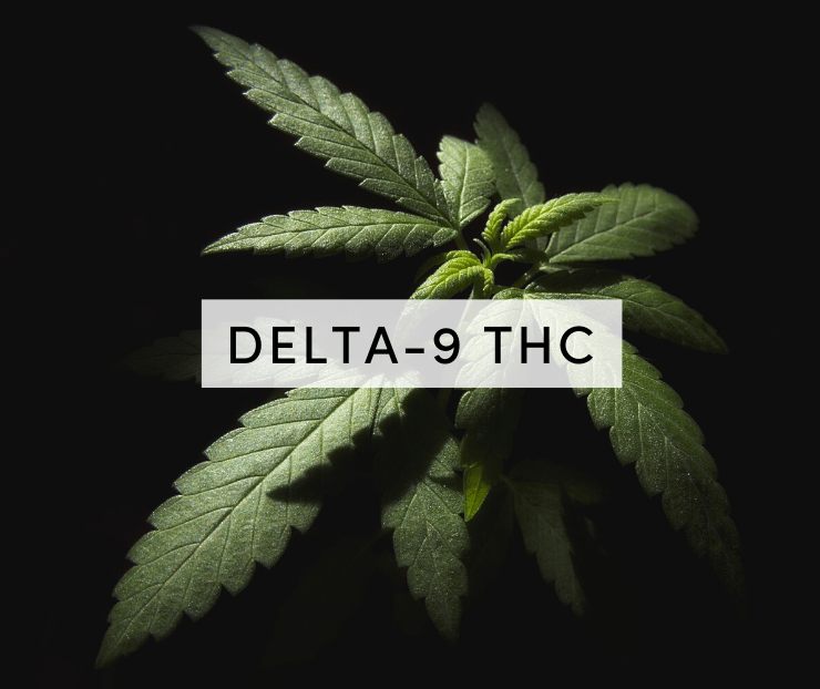 delta 9 why it's legal in most states