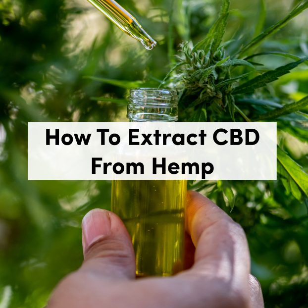 How To Extract CBD From Hemp | CBD Extraction Process | tanasi