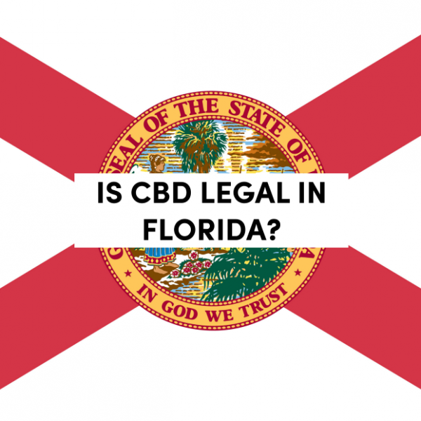 Is CBD Legal in Florida? The Sunshine State's CBD Laws tanasi