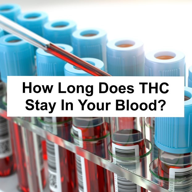 How Long Does THC Stay in Your Blood?