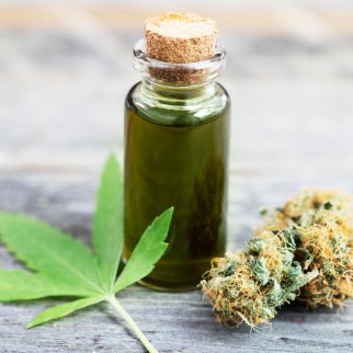 Does CBD Oil Have THC In It? - CBD Oil and cannabis