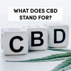 What Does CBD Stand For?