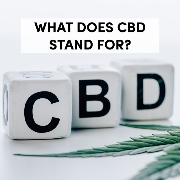 Differences Between CBD and CBDa That Make Them Unique