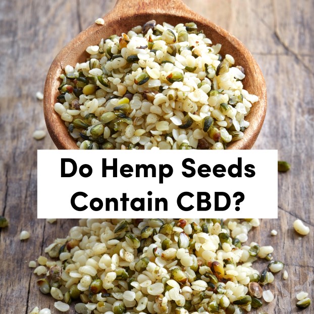 Do Hemp Seeds Contain CBD?