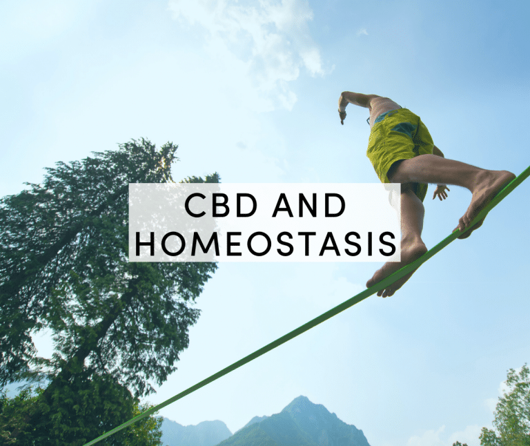 cbd and homeostasis