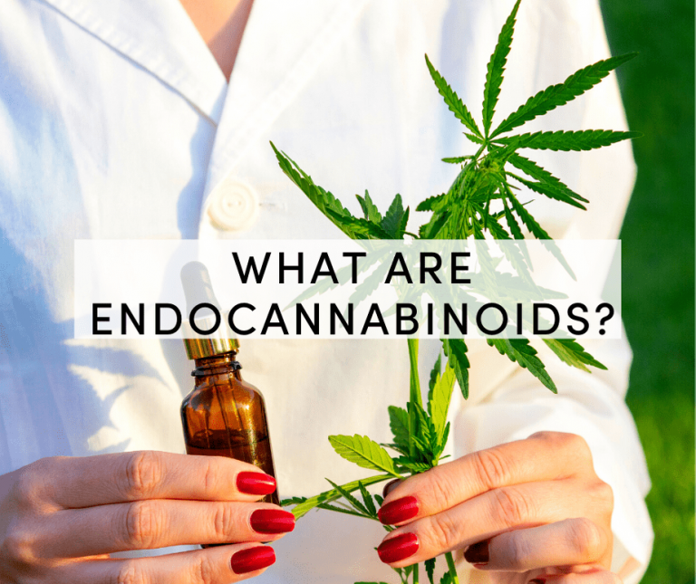 what are endocannabinoids