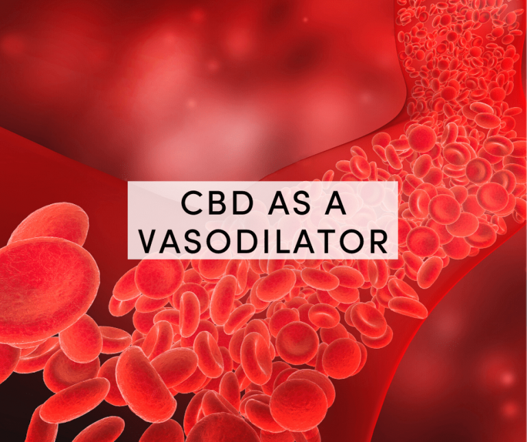 cbd as a vasodilator