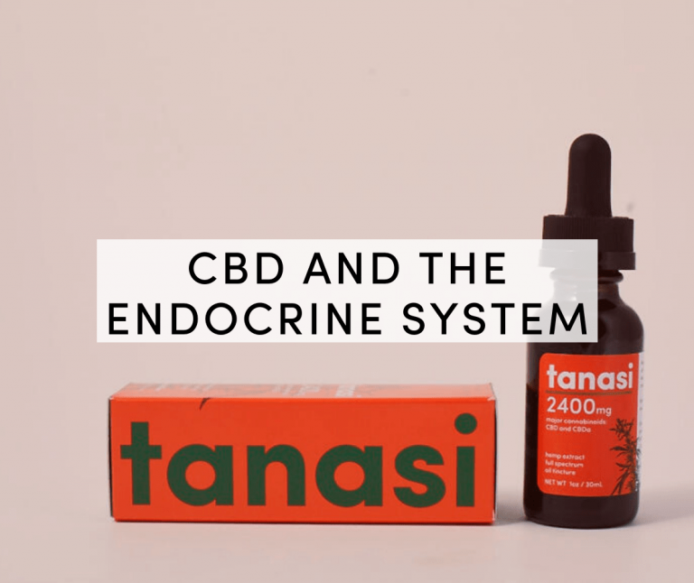 cbd and the endocrine system