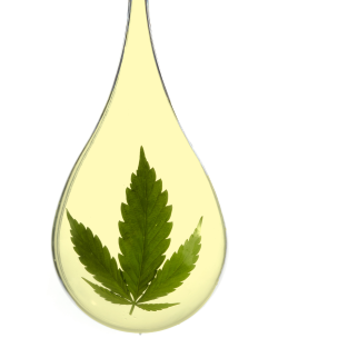  Water Soluble CBD - a marijuana leaf indise a drop of cbd oil