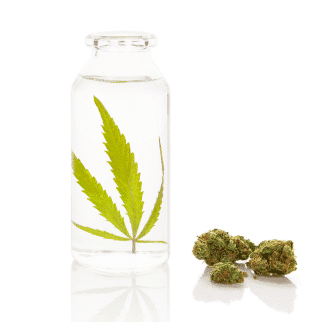 Ethanol Extraction CBD - cannabis leaf soaking in a bottle full of ethanol