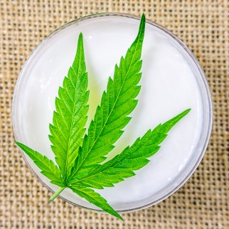 CBD for Back Pain - cbd creams are great for back pain
