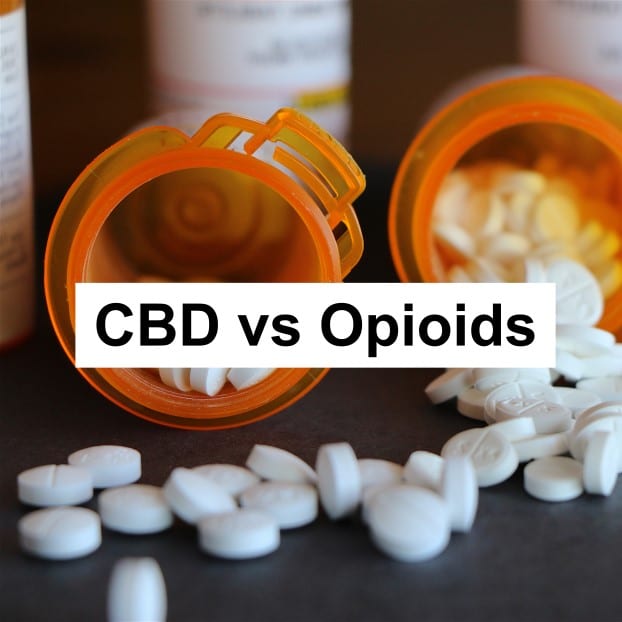 CBD vs Opioids