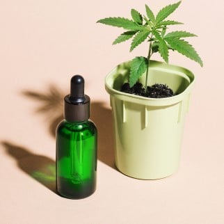 Hemp Gummies - hemp oil and a little cannabis plant in a pot
