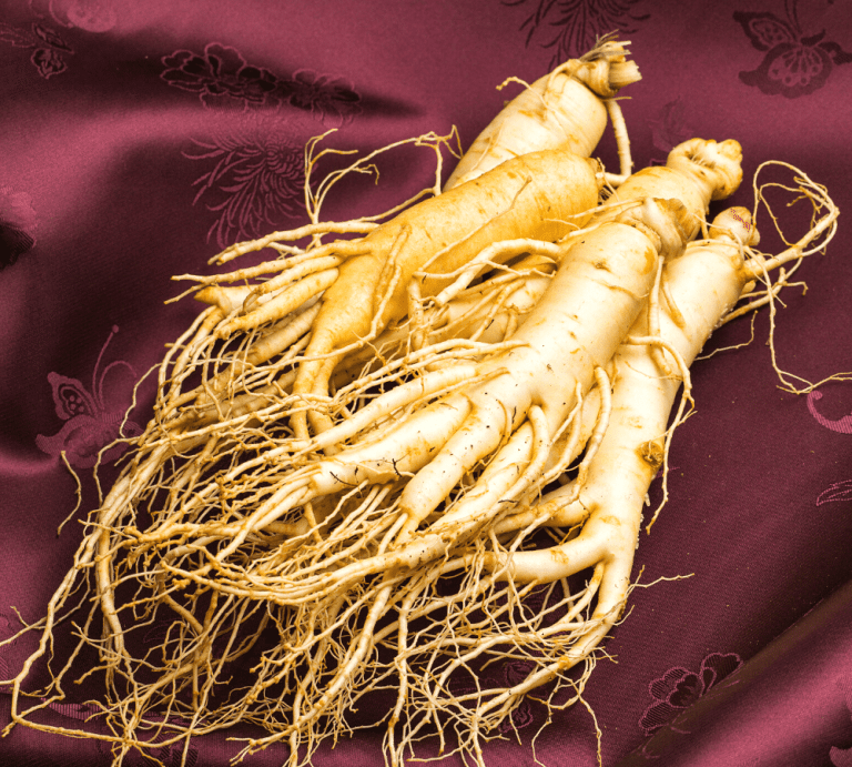 Korean Red Panax Ginseng What Is It and Why Do You Need It?