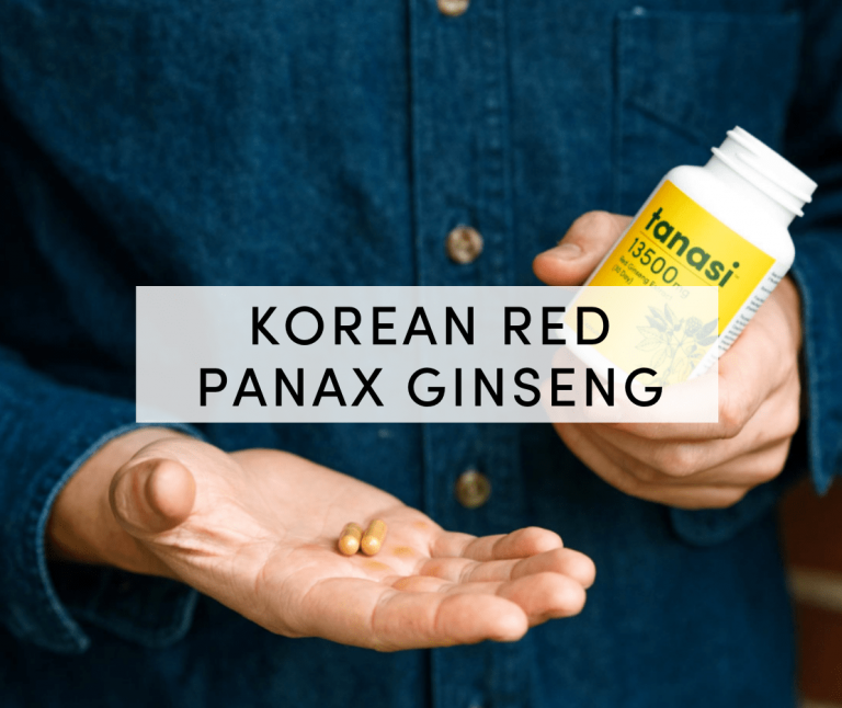 korean red panax ginseng