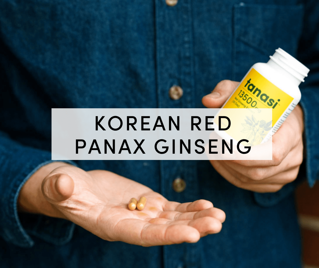 Korean Red Panax Ginseng What Is It and Why Do You Need It?