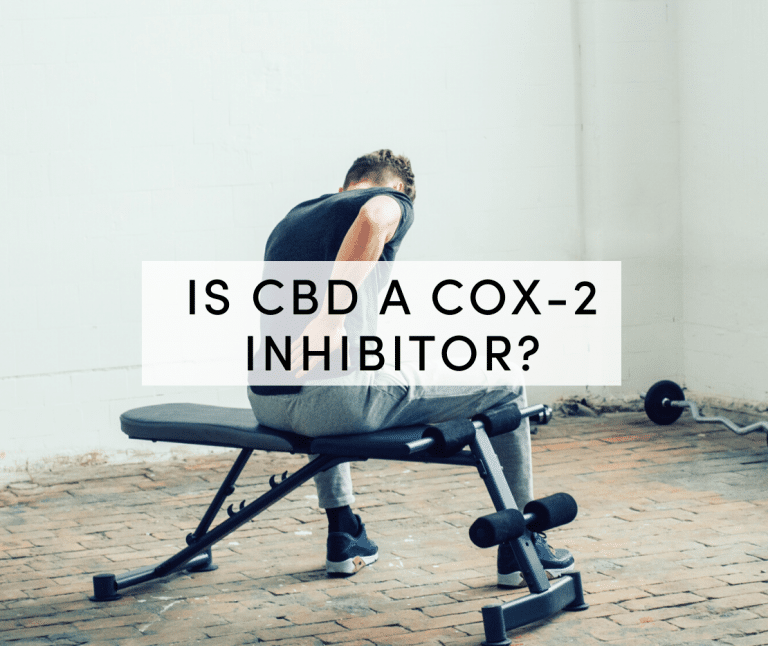 cbd a cox 2 inhibitor