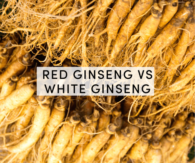 red ginseng vs white ginseng