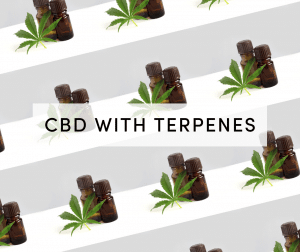 cbd and terpenes