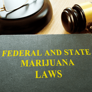 In What States Is CBD Legal - MARIJUANA LAWS BOOK