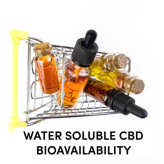 Water-Soluble CBD Bioavailability