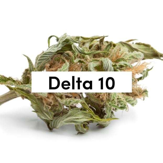 Comments On Row 10 Seating In Delta A330-300 - Thc|Delta|Products|Delta-10|Effects|Cbd|Cannabis|Cannabinoids|Cannabinoid|Hemp|Oil|Body|Benefits|Pain|Drug|Inflammation|People|Receptors|Gummies|Arthritis|Market|Product|Marijuana|Delta-8|Research|States|Cb1|Test|Strains|Effect|Vape|Experience|Users|Time|Compound|System|Way|Anxiety|Plants|Chemical|Delta-10 Thc|Delta-9 Thc|Cbd Oil|Drug Test|Delta-10 Products|Side Effects|Delta-8 Thc|Cb1 Receptors|Cb2 Receptors|Cannabis Plants|Endocannabinoid System|Minor Discomfort|Medical Marijuana|Thc Products|Psychoactive Effects|Arthritic Symptoms|New Cannabinoid|Fusion Farms|Arthritic Patients|Conclusion Delta|Medical Cannabis Oil|Arthritis Pain|Good Fit|Double Bond|Anticonvulsant Actions|Medical Benefit|Anticonvulsant Properties|Epileptic Children|User Guide|Farm Bill