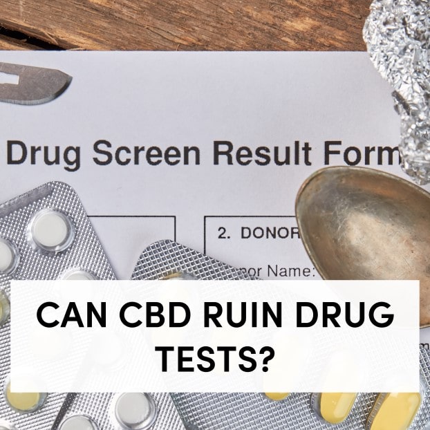 CBD and Drug Tests