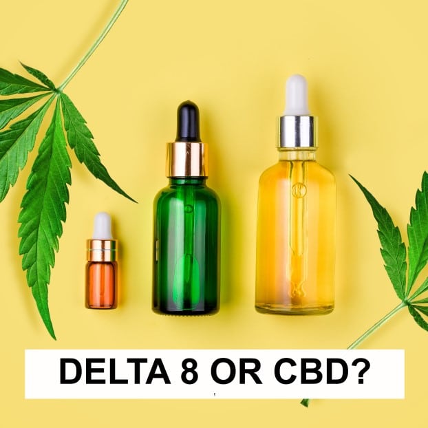 Delta 8 vs CBD