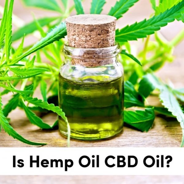 Why Cold Pressed Hemp Seed Oil is the Best Processing Method