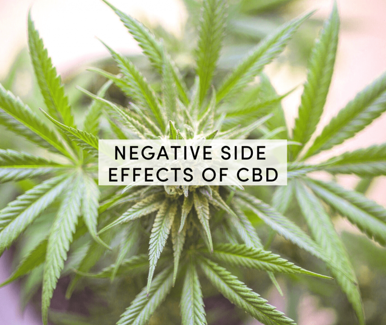 Negative Side Effects of CBD