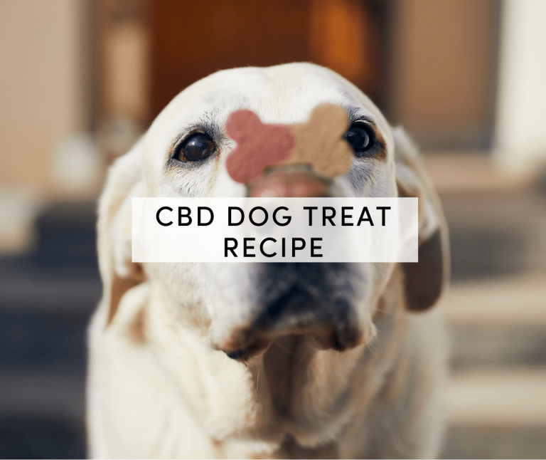 cbd dog treat recipe