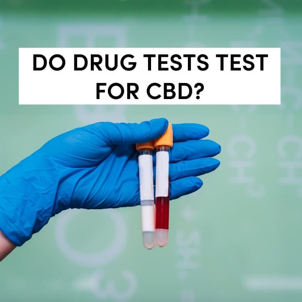 Do Drug Tests Test For CBD?