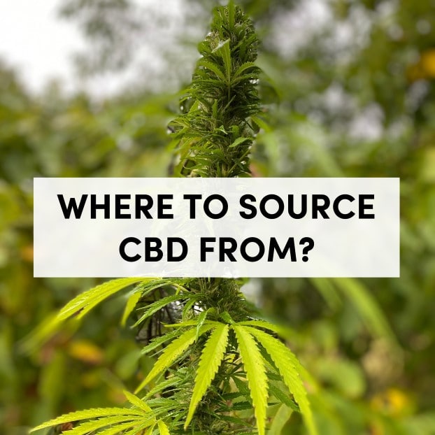 Where to Source CBD from?