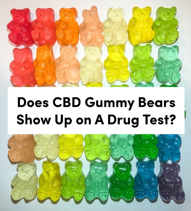 Does CBD Gummy Bears Show Up on A Drug Test