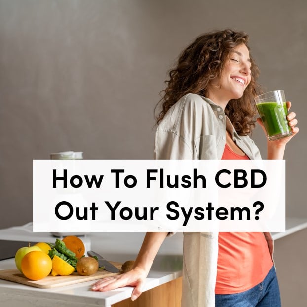 How To Flush CBD Out Of Your System? Educational tanasi