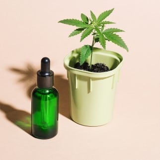CBD Tincture vs Oil - cbd tincture besides a cannabis plant in a pot