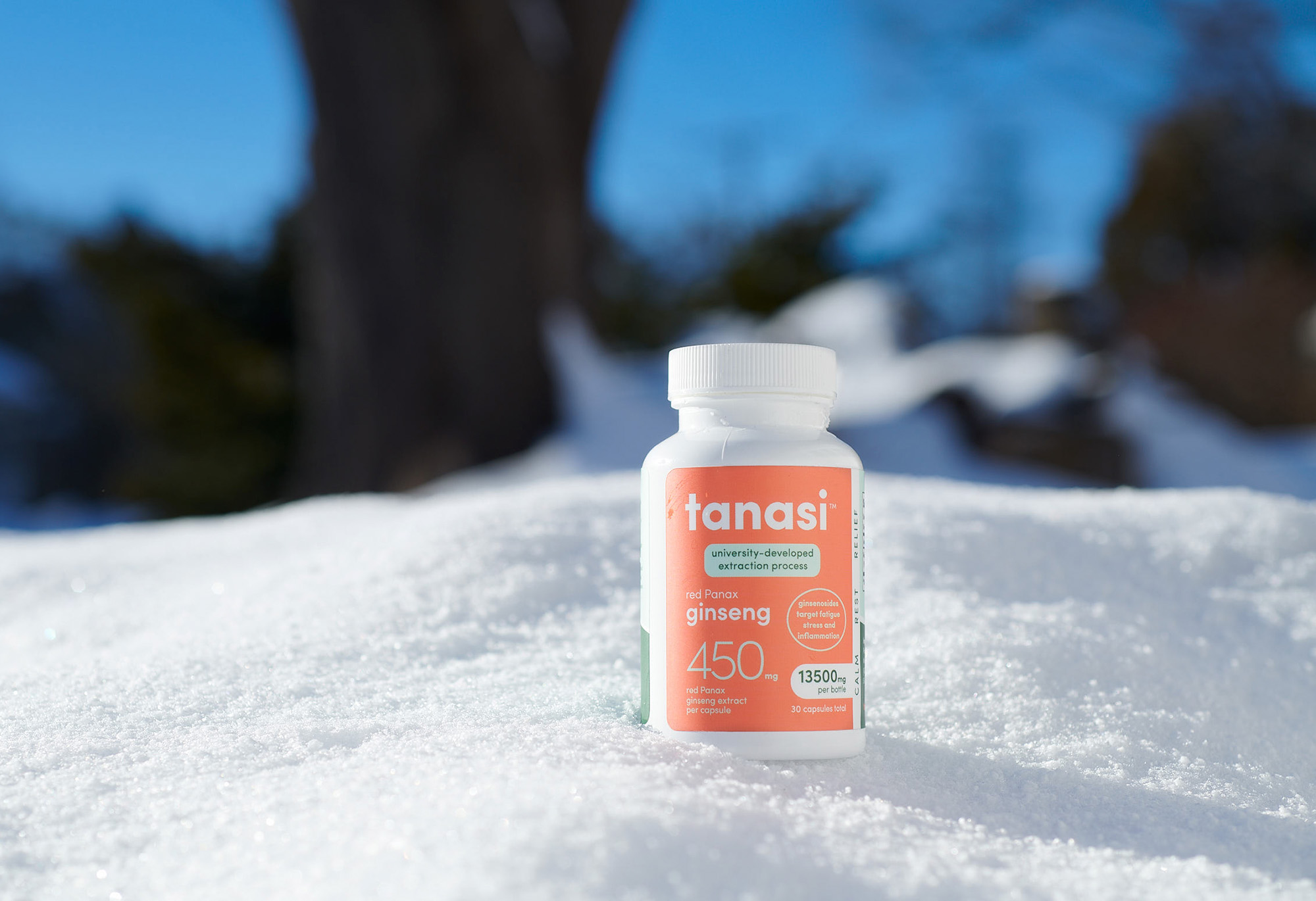 Red Ginseng vs White Ginseng What's the Difference?